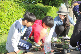 地域の植栽活動の画像