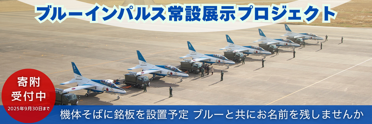 ブルーインパルスふるさと納税