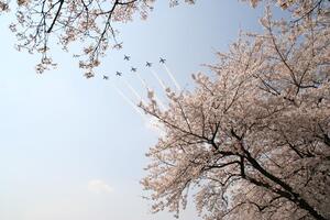 滝山公園（展望休憩舎）の画像