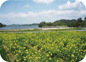 さとはま縄文の里史跡公園の写真