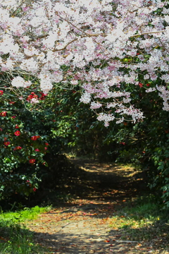 優秀賞_Instagram2