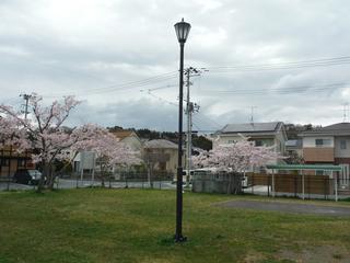 牛網風の子公園の画像