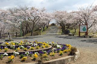 滝山公園の画像02