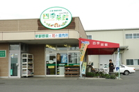 四季菜館　大塩店