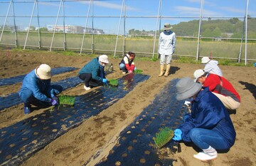 令和7年度花と野菜の園芸教室活動の様子