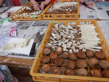 干し野菜作りの様子