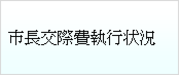 テキスト　ボックス:　市長交際費執行状況