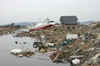 平成23年3月14日撮影　大曲浜の画像