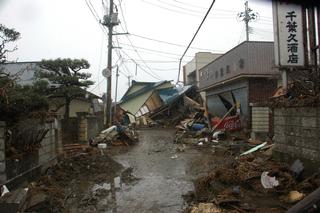 平成23年3月16日撮影　牛網の画像