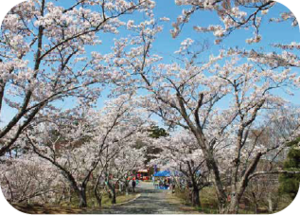 滝山公園の写真